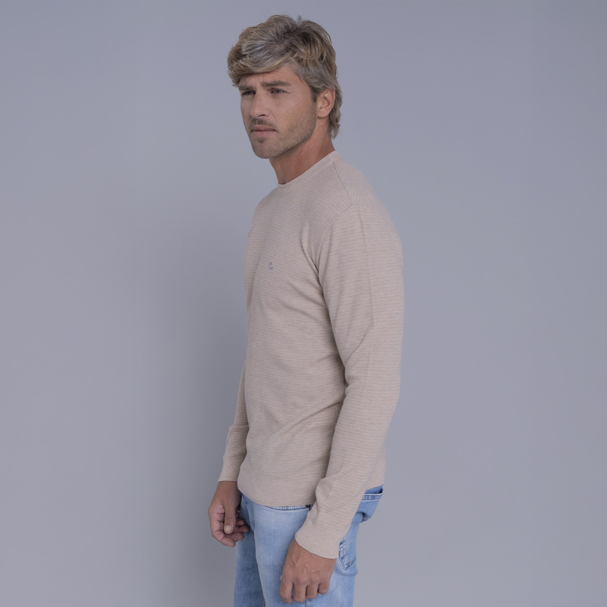 Suéter masculino em tricô listrado Anka com gola redonda