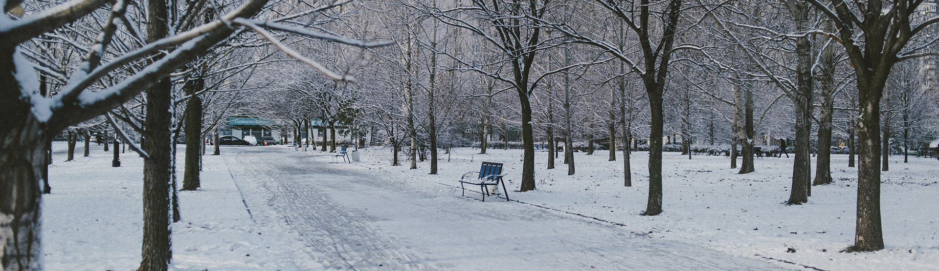 temperatura acima de zero graus e com neve