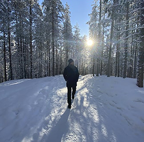 floresta com neve em helsinque