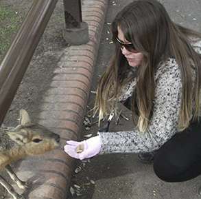 zoologico de buenos aires