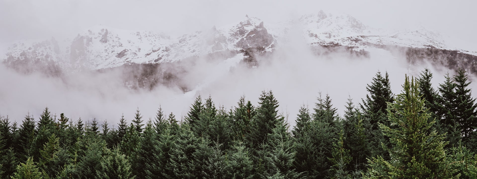  calçados, roupas e acessórios  infantis de inverno